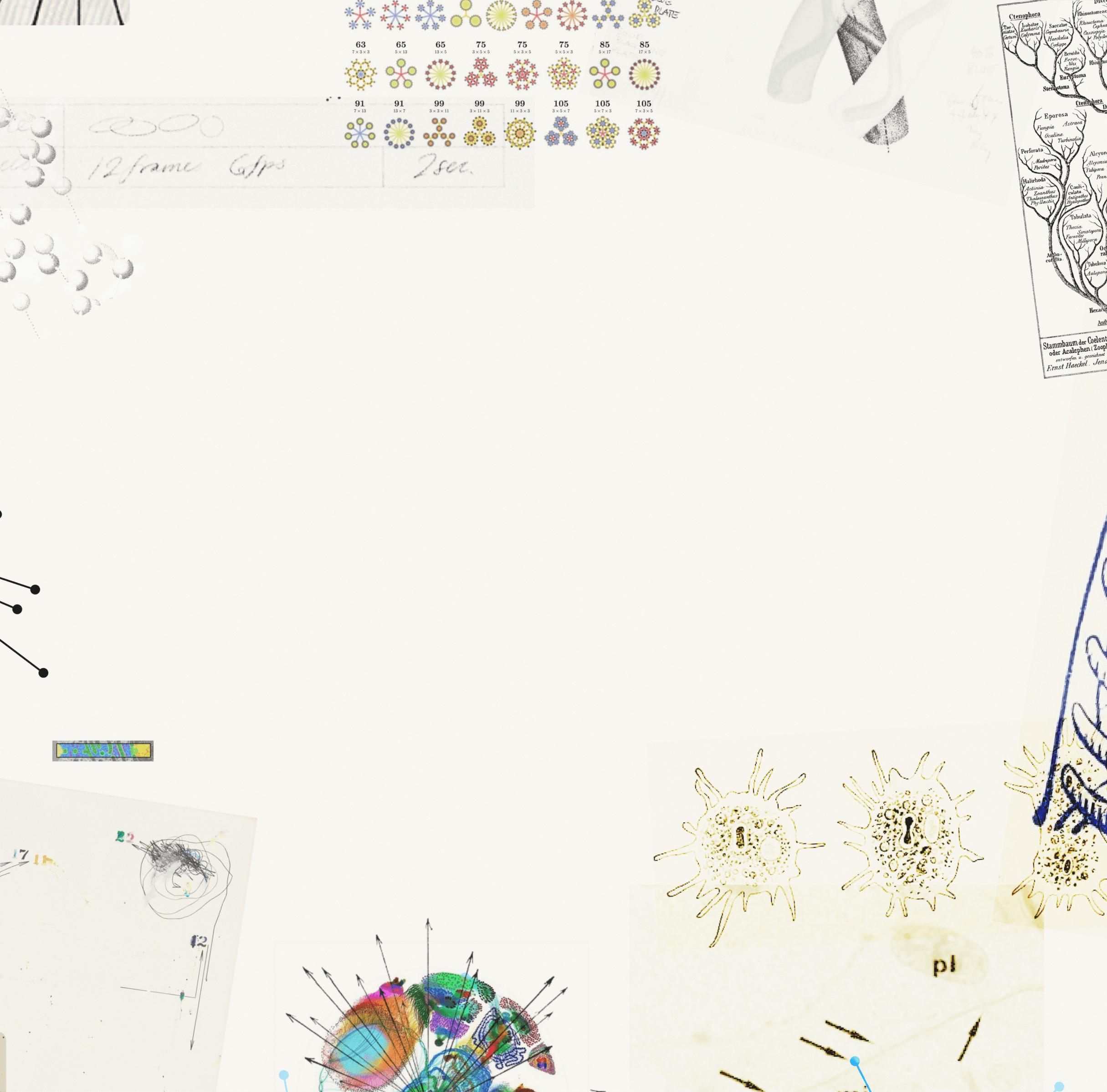 hero background tablet